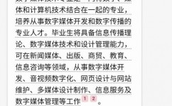 开源什么流,推进数字媒体开展的新动力