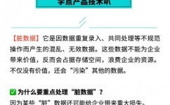 数据库脏数据,什么是数据库脏数据？