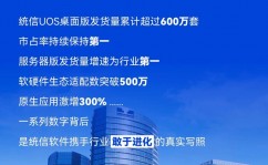 国产linux体系排名,盘点国内优异操作体系