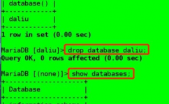 mysql数据库编程,MySQL数据库编程概述