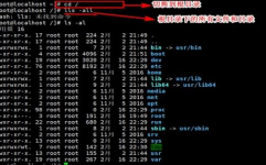 linux文件指令,Linux文件指令概述