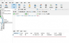 数据库查询年纪,SQL根底查询