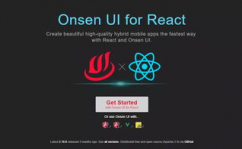 react中文官网,构建高效用户界面的JavaScript库