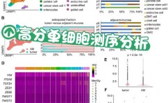 甲基化数据库,表观遗传学研讨的强壮东西