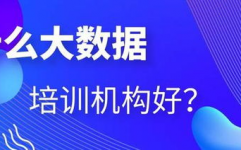 大数据训练出来好惨白,是“惨白”仍是“黄金”机会？