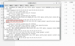 怎样检查linux的ip地址, 运用指令行检查IP地址