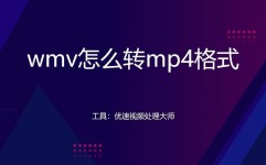 html怎么刺进视频, 视频格局支撑