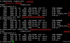 linux杀死进程指令kill,什么是kill指令