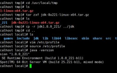 linux下载jdk,Linux体系下JDK的下载与装置教程