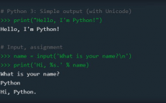 下载python,Python环境建立与下载全攻略