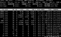 linux检查资源运用状况,linux操作体系官网