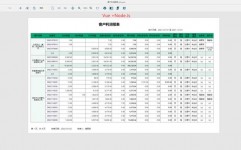 vue报表,vue报表东西
