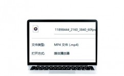 html5视频标签, 布景介绍