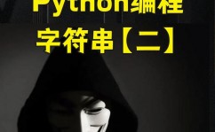 python的数据类型有哪些, 根本数据类型