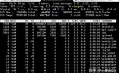 linux查进程,Linux体系进程检查与办理的实用技巧