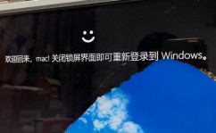 windows体系下载网站