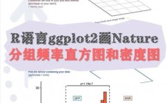 r言语直方图,深化解析数据散布的利器