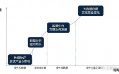 大数据的运用进程是,大数据的运用进程概述