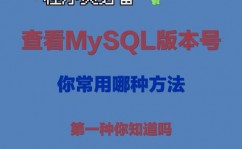 mysql修正暗码,承认MySQL版别