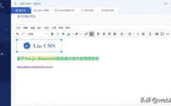 vue cms,构建现代企业级内容办理体系的利器