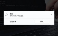 windows暗码修正,安全与快捷共存