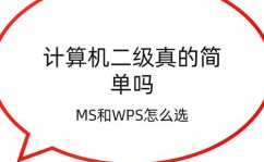 wps数据库,高效数据办理的利器