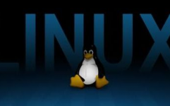 linux的长处,为什么挑选Linux？