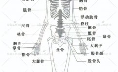 html5教程,html菜鸟教程官网进口