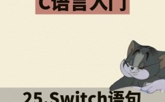 java switch句子用法, 什么是switch句子？