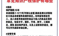 我国商标数据库,助力企业知识产权维护与立异开展