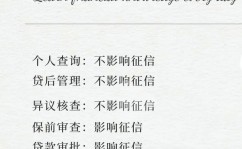 怎么查大数据征信,怎么查询大数据征信——全面攻略