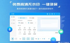 windows录屏软件,挑选与使用指南