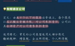 莱芜鲁能开源是国企吗,国企身份解析