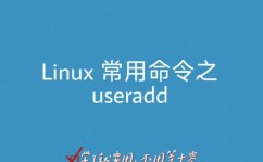 linux新建用户,Linux体系下新建用户详解