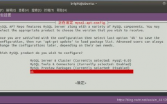 ubuntu装置mysql,Ubuntu体系下MySQL的装置与装备攻略