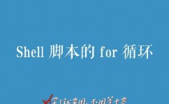 r言语for循环,二、for循环的根本语法