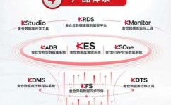 金仓数据库,国产数据库的兴起与未来展望