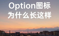 windows键盘option键,功用与用法详解