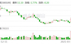 新开源集团,精密化工范畴的领军者