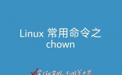 linux修正文件夹所属用户,linux修正文件夹所属用户和组