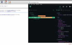 vue调试, 什么是Vue调试？