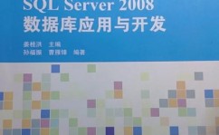 数据库2008,功用、运用与未来展望