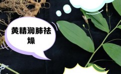 vue大局过滤器, 什么是Vue大局过滤器？