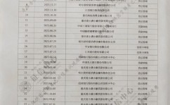 网贷大数据信誉陈述,揭秘个人信誉情况的“第二视角”