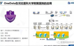 医院数据库办理体系,医院数据库办理体系概述