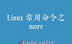 linux检查文件指令