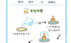 mysql修正字段类型