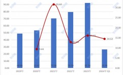 云核算商场规划,全球与我国的双线增加