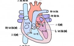 python循环结构, 什么是循环结构？