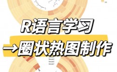 r言语自学,从入门到通晓